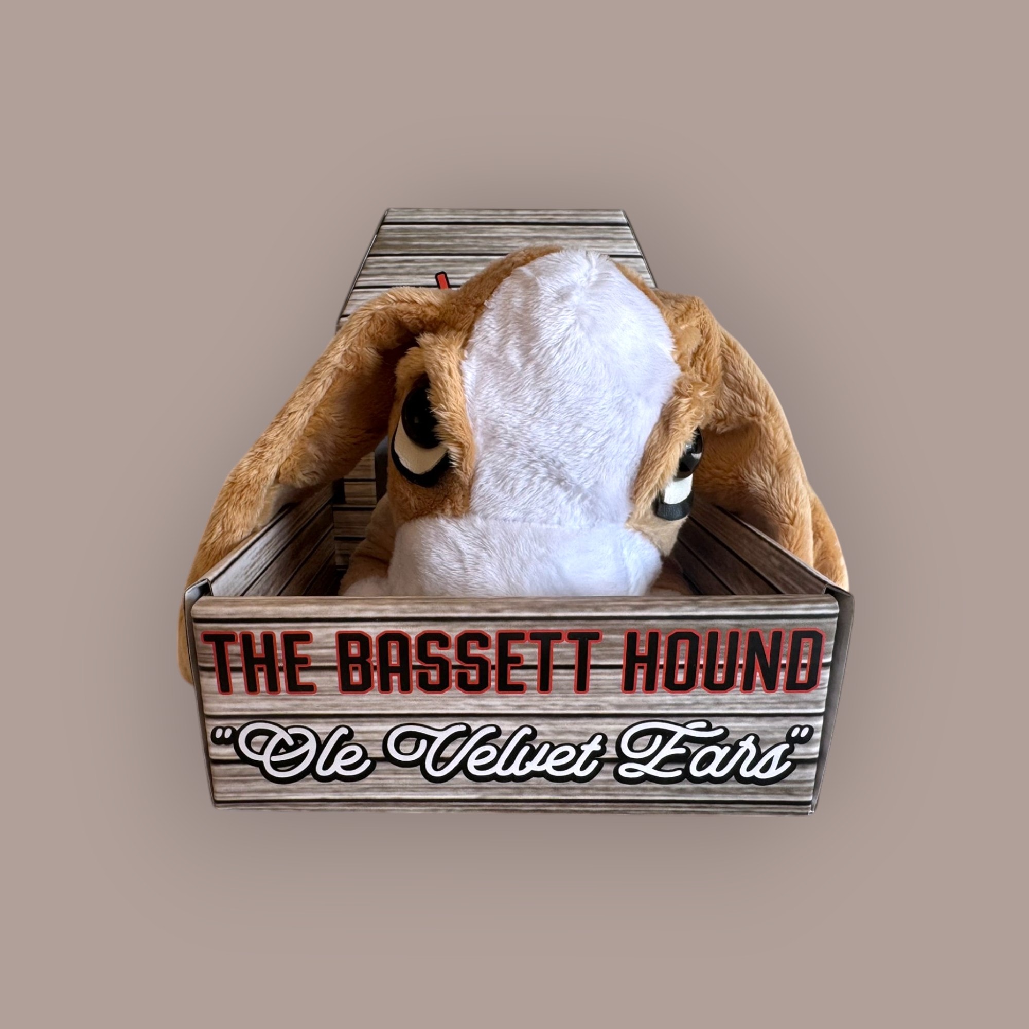 Flash the Bassett Hound — Ole Velvet Ears top view in branded crate