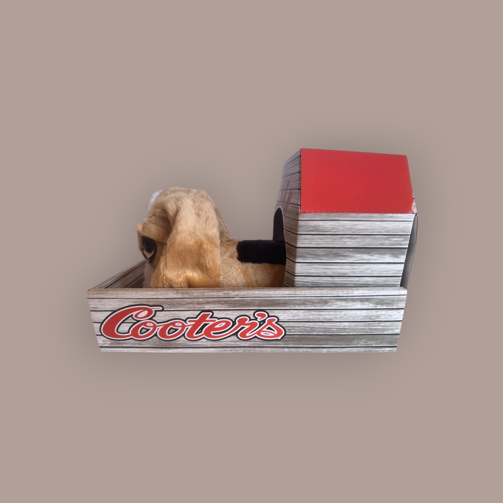 Flash the Bassett Hound plush toy — angled view in Cooter's branded crate